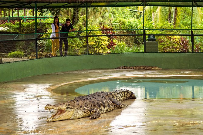 Crocodile Adventureland Langkawi