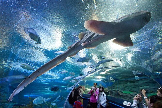 Langkawi Underwater World