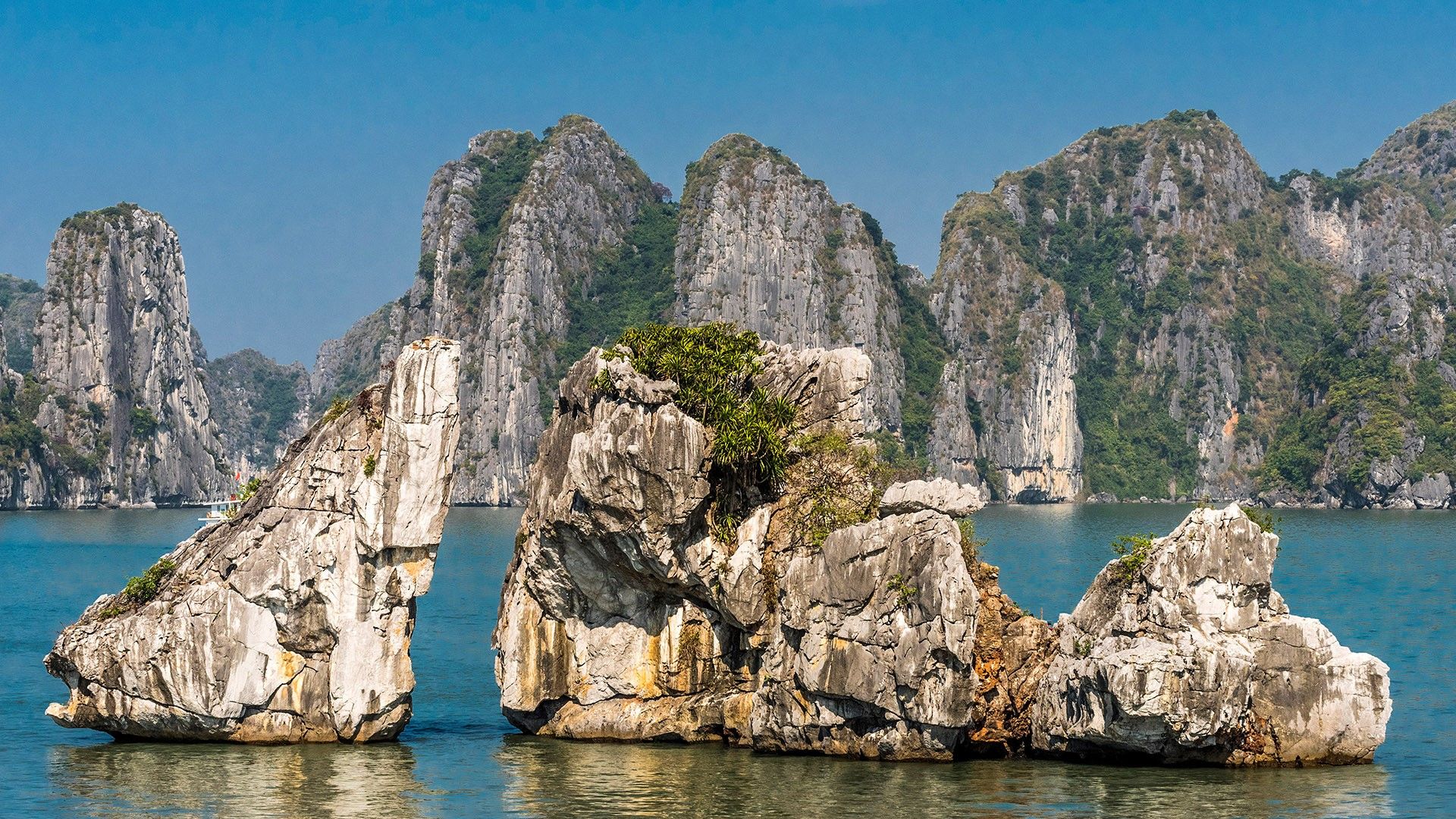 Vietnam